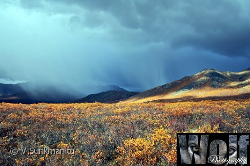 Yukon wilderness 005 Copyright Villayat Sunkmanitu.jpg